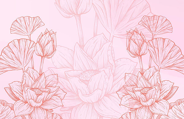 Disegno di fiori bianchi e rosa Disegno di fiori bianchi e rosa