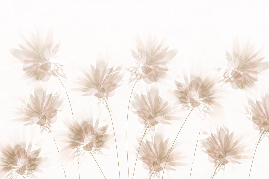 Gruppo di fiori su sfondo bianco