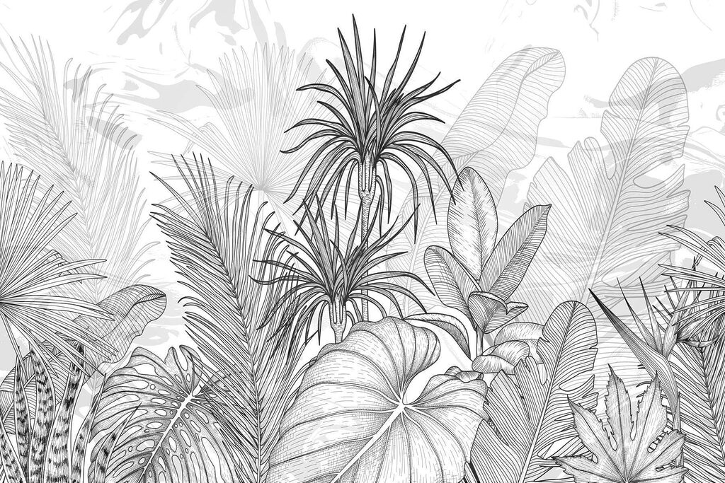 Disegno in bianco e nero di piante Disegno in bianco e nero di piante