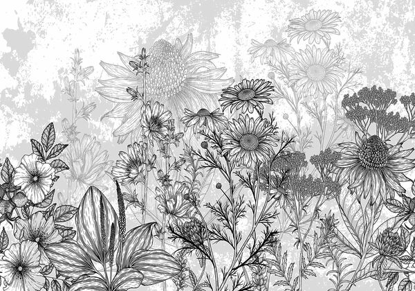 Immagine in bianco e nero di fiori Immagine in bianco e nero di fiori
