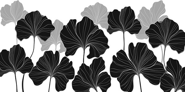 Design floreale in bianco e nero Design floreale in bianco e nero