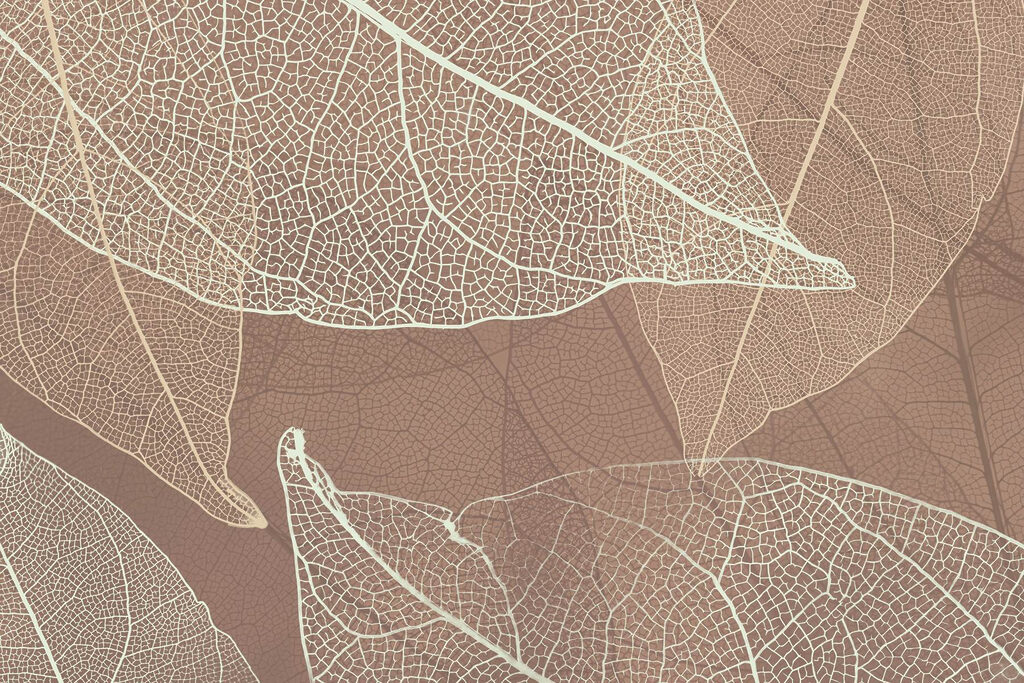 Delicate venature dell'opera d'arte della natura’. Delicate venature dell'opera d'arte della natura’.