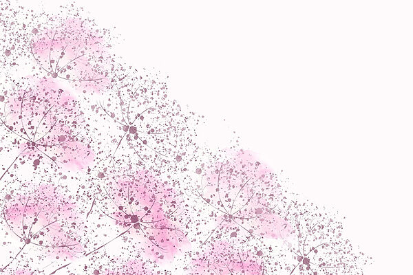 Pink flowers with purple spots Pink flowers with purple spots