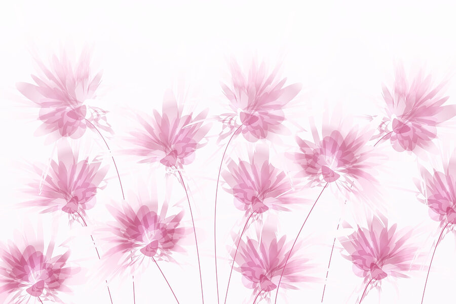 Gruppo di fiori rosa