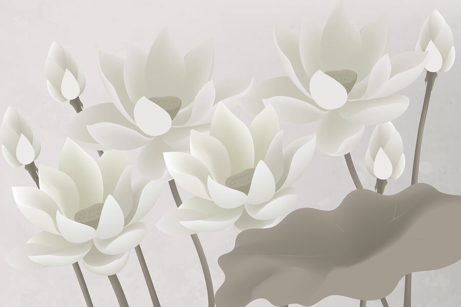 Gruppo di fiori bianchi