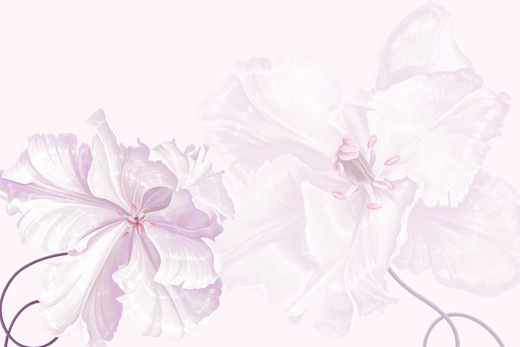 Delicate blossoms in soft hues