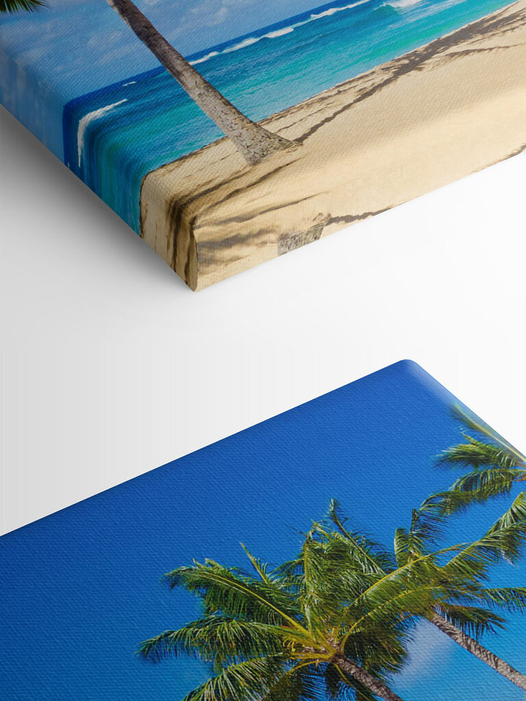 Palm trees on a beach