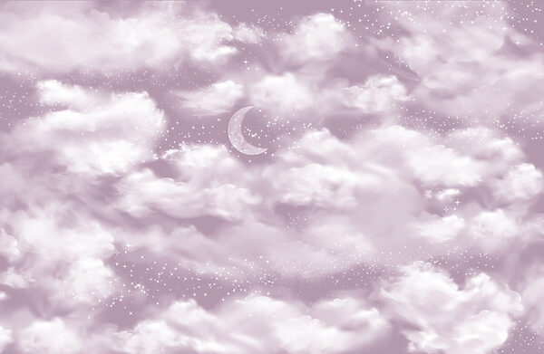 Moon in the sky Moon in the sky