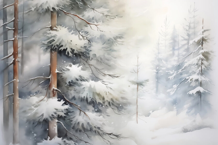 Alberi innevati in una foresta