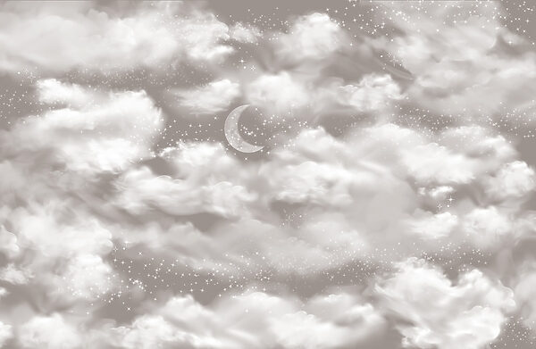 Moon in the sky