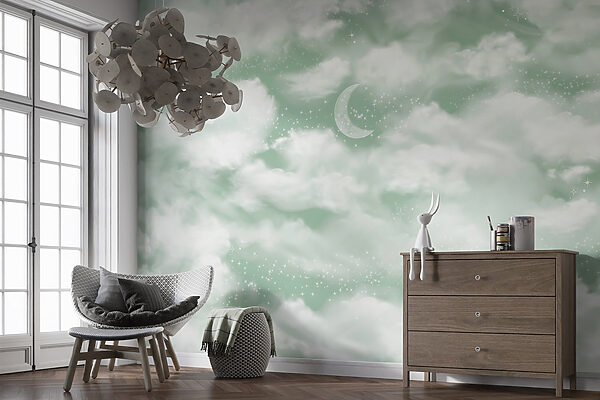 Moon in the sky