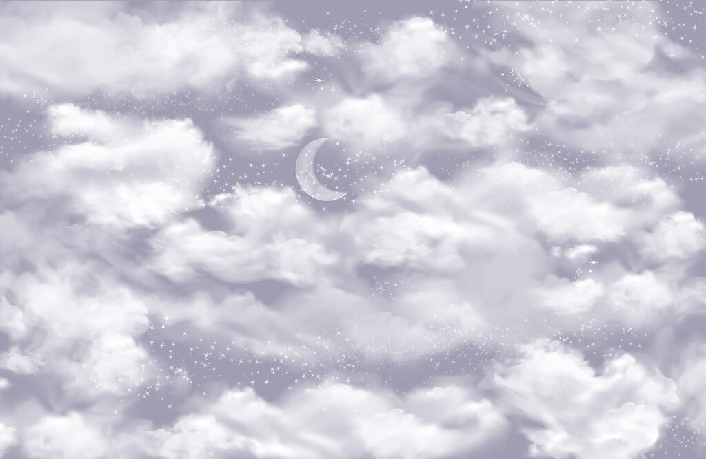Moon in the sky Moon in the sky