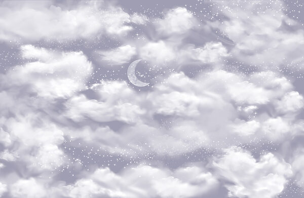 Moon in the sky Moon in the sky