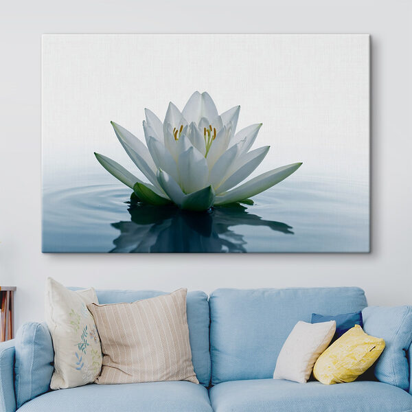Quadri Fiore bianco nell'acqua (COD: s42098) Quadri Quadri Fiore bianco nell'acqua (COD: s42098)