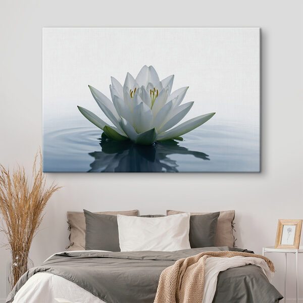 White flower in water