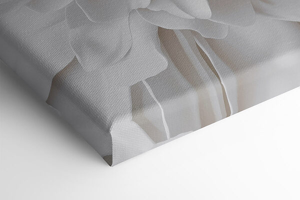 Delicate layers of soft petals