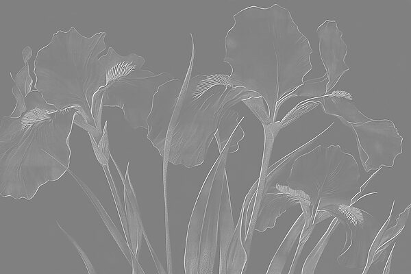 Eleganti motivi floreali in toni tenui Eleganti motivi floreali in toni tenui
