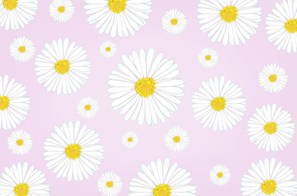 Motivo di fiori bianchi e gialli Motivo di fiori bianchi e gialli