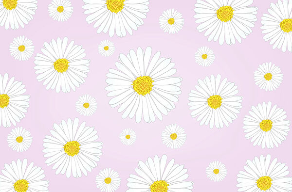 Motivo di fiori bianchi e gialli Motivo di fiori bianchi e gialli