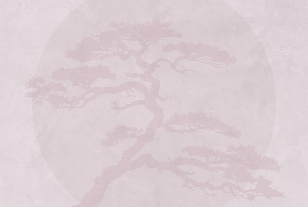 Albero su sfondo bianco Albero su sfondo bianco