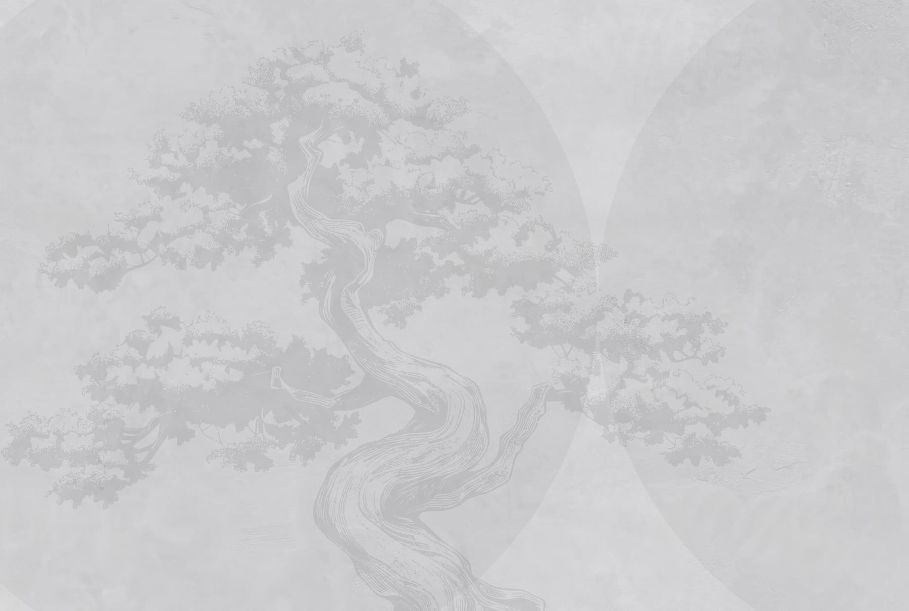 Tree with a curved trunk