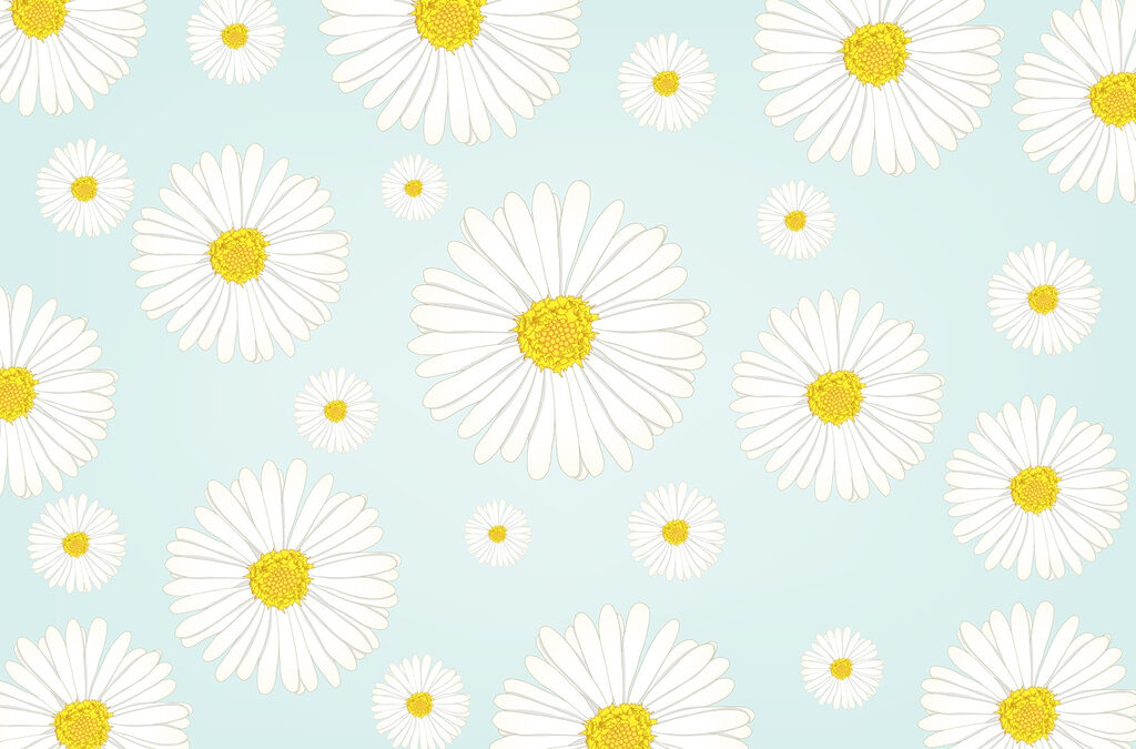 Motivo di fiori bianchi e gialli Motivo di fiori bianchi e gialli