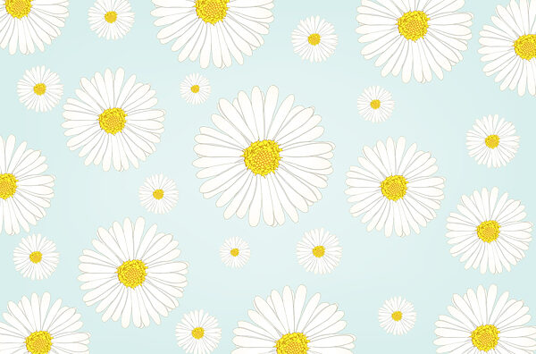 Motivo di fiori bianchi e gialli Motivo di fiori bianchi e gialli