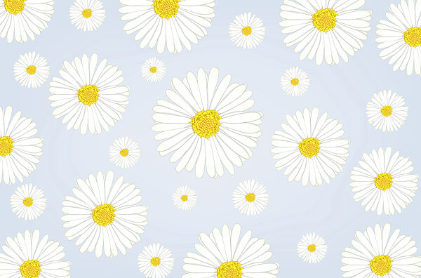 Gruppo di fiori bianchi e gialli Gruppo di fiori bianchi e gialli