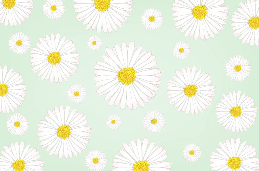 Motivo di fiori bianchi e gialli