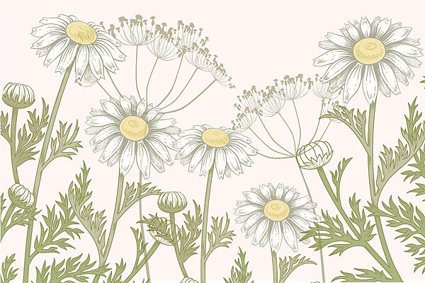 Fiori delicati in tonalità tenui Fiori delicati in tonalità tenui