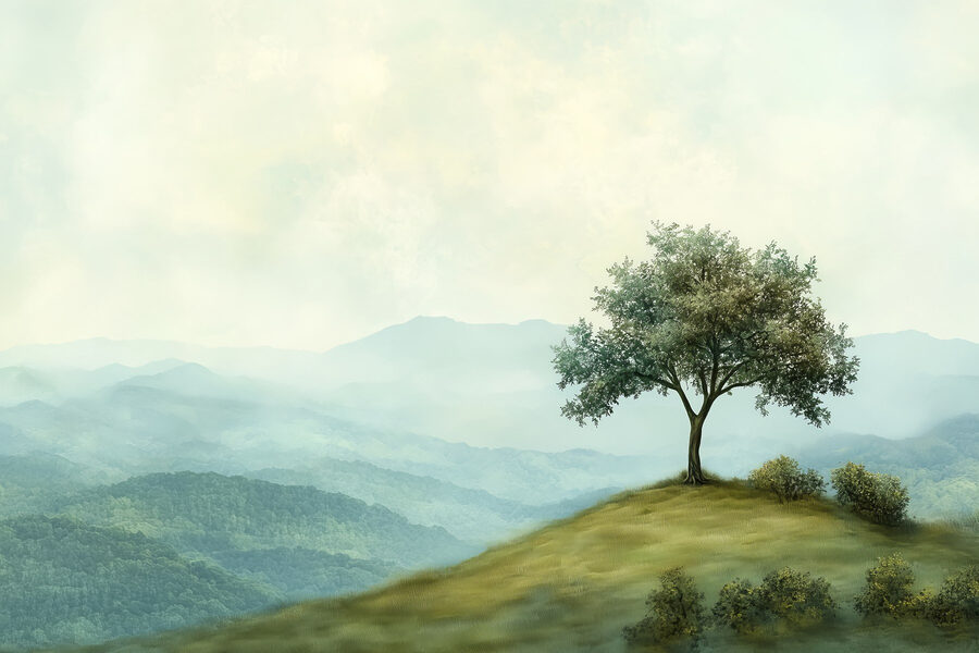 Albero su una collina Albero su una collina