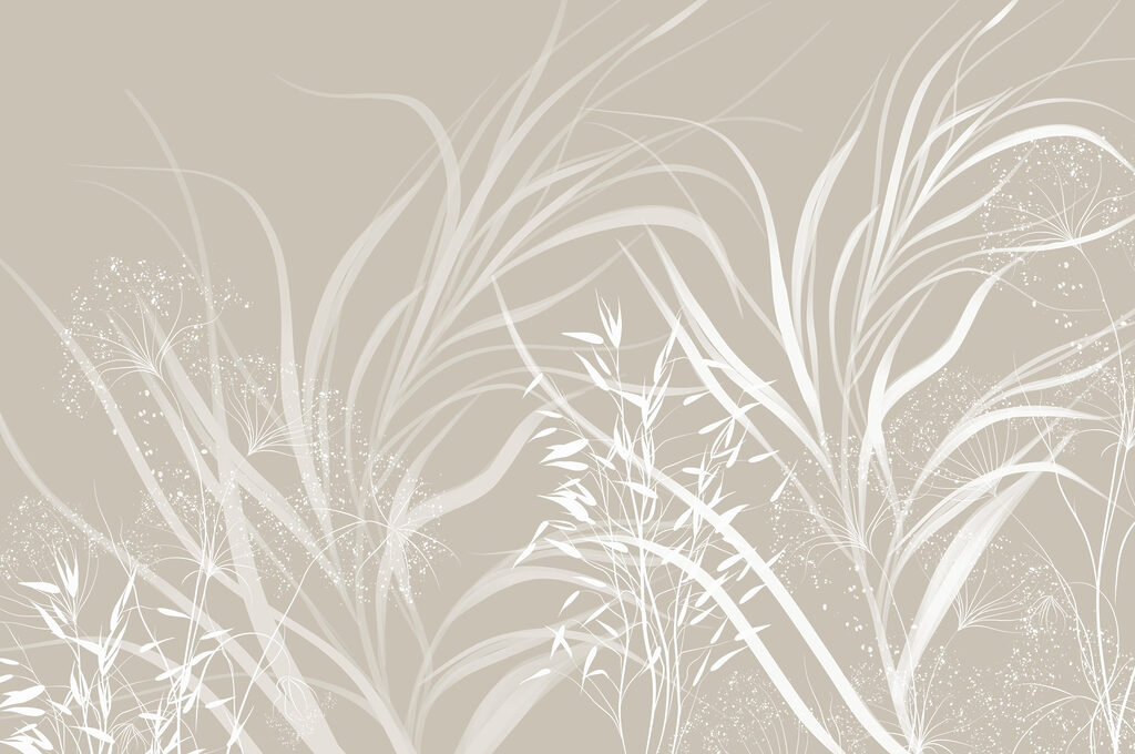 Disegno floreale bianco su sfondo grigio Disegno floreale bianco su sfondo grigio