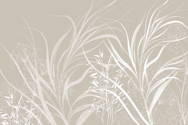 Disegno floreale bianco su sfondo grigio Disegno floreale bianco su sfondo grigio