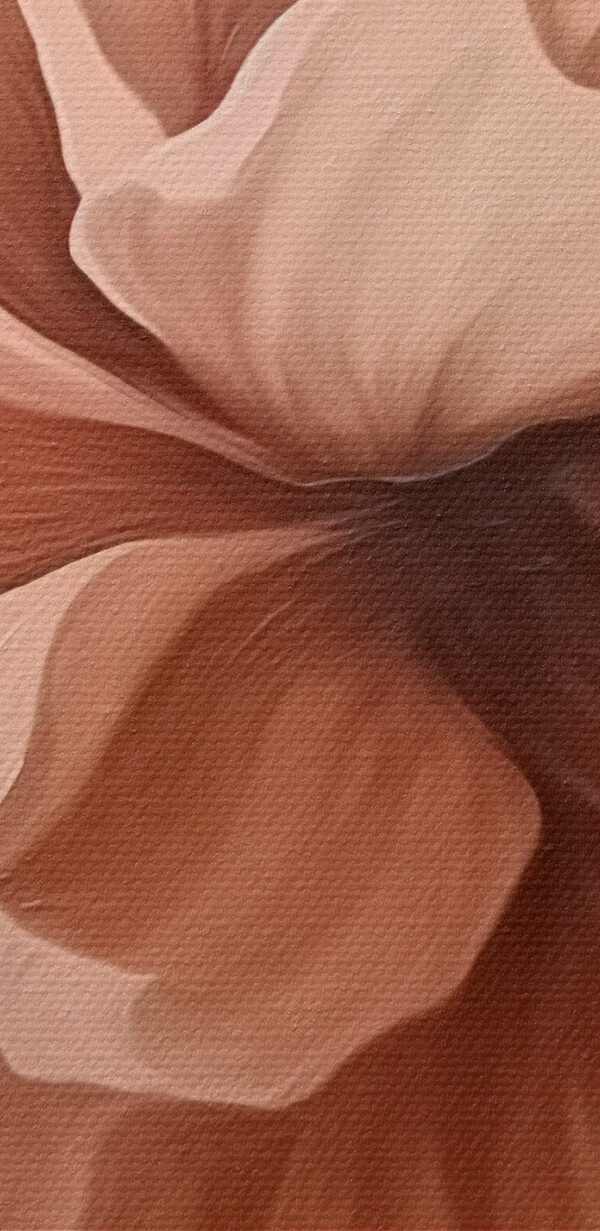 Delicate bloom in soft tones