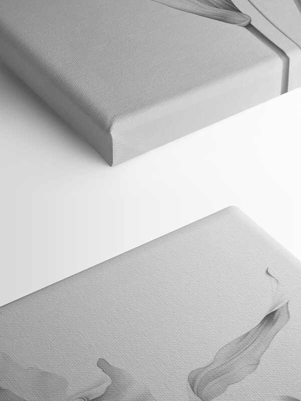 Delicate petals in soft monochrome hues