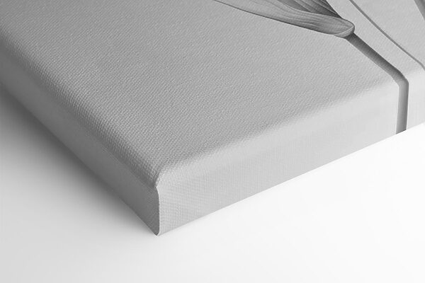Delicate petals in soft monochrome hues