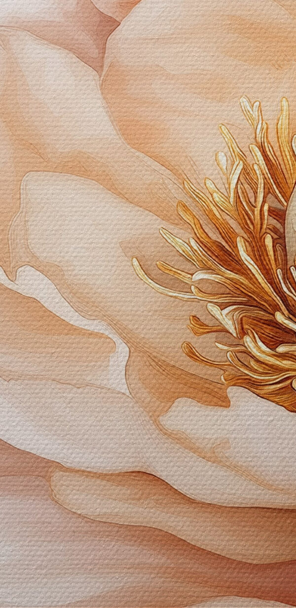 Delicate petals in soft hues