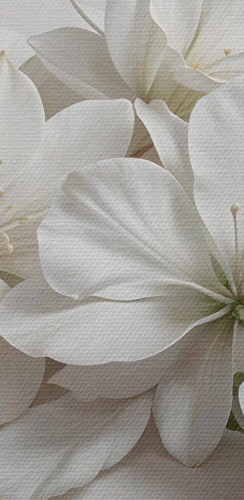 Group of white flowers