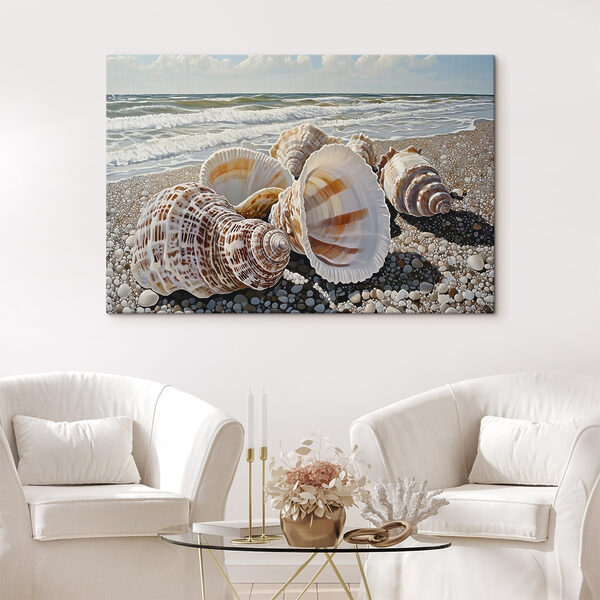 Quadri Quadri Conchiglie su una spiaggia (COD: s42333)