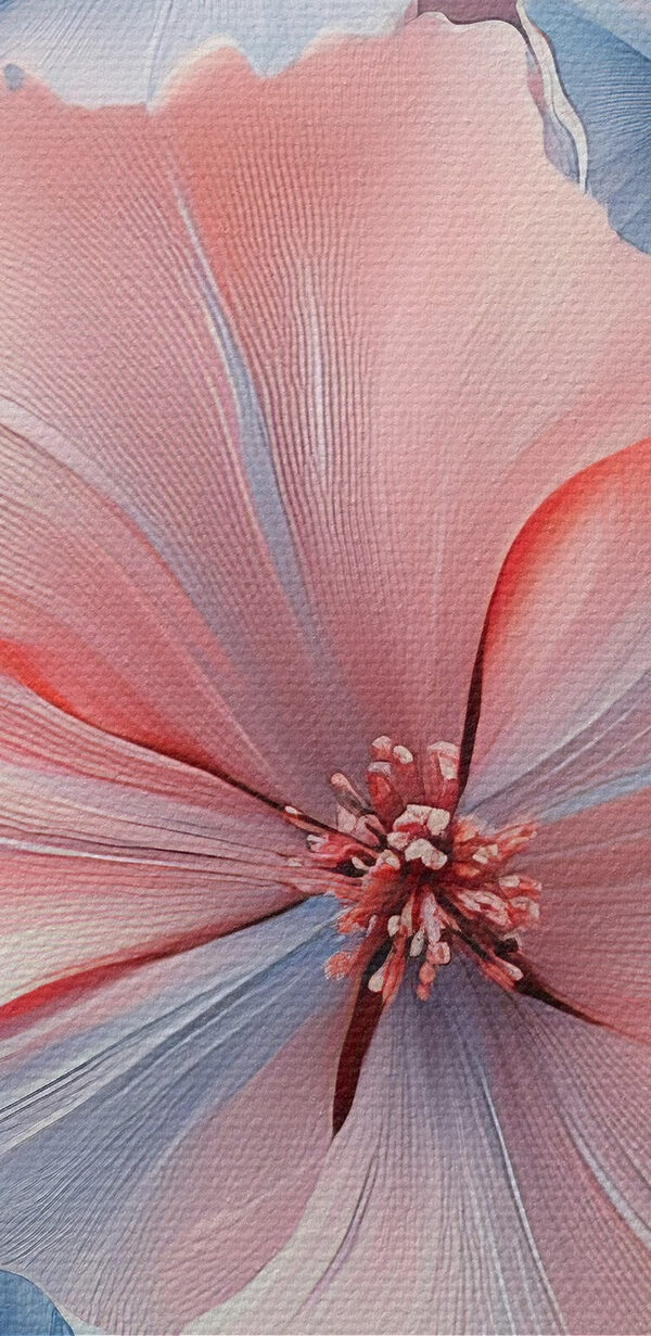 Group of blue and pink flowers