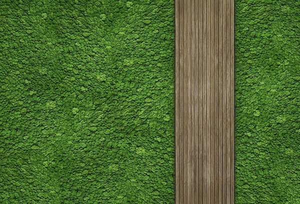 Tavola di legno su parete verde Tavola di legno su parete verde