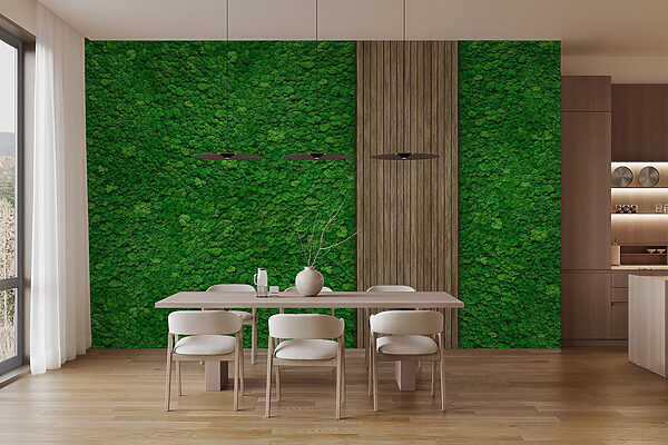 Tavola di legno su parete verde Tavola di legno su parete verde