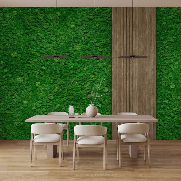 Tavola di legno su parete verde Tavola di legno su parete verde