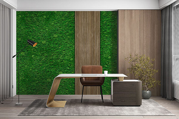 Tavola di legno su parete verde Tavola di legno su parete verde