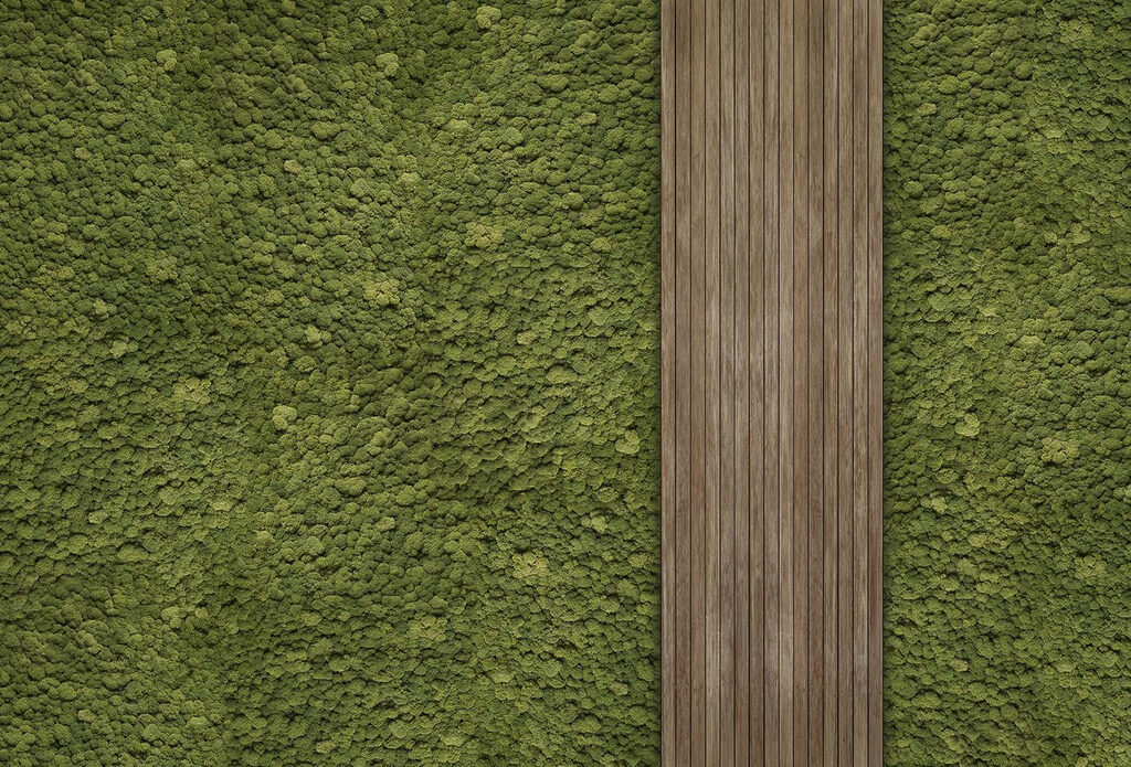 Wood plank on a green carpet