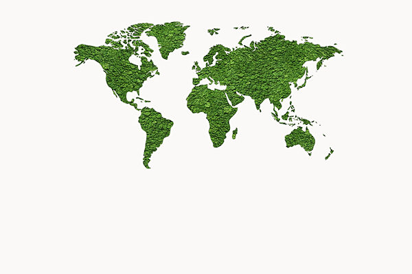 Mappa del mondo fatta di piante verdi Mappa del mondo fatta di piante verdi