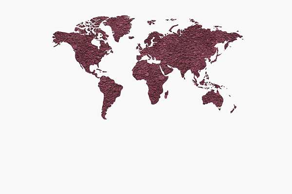 Mappa del mondo Mappa del mondo