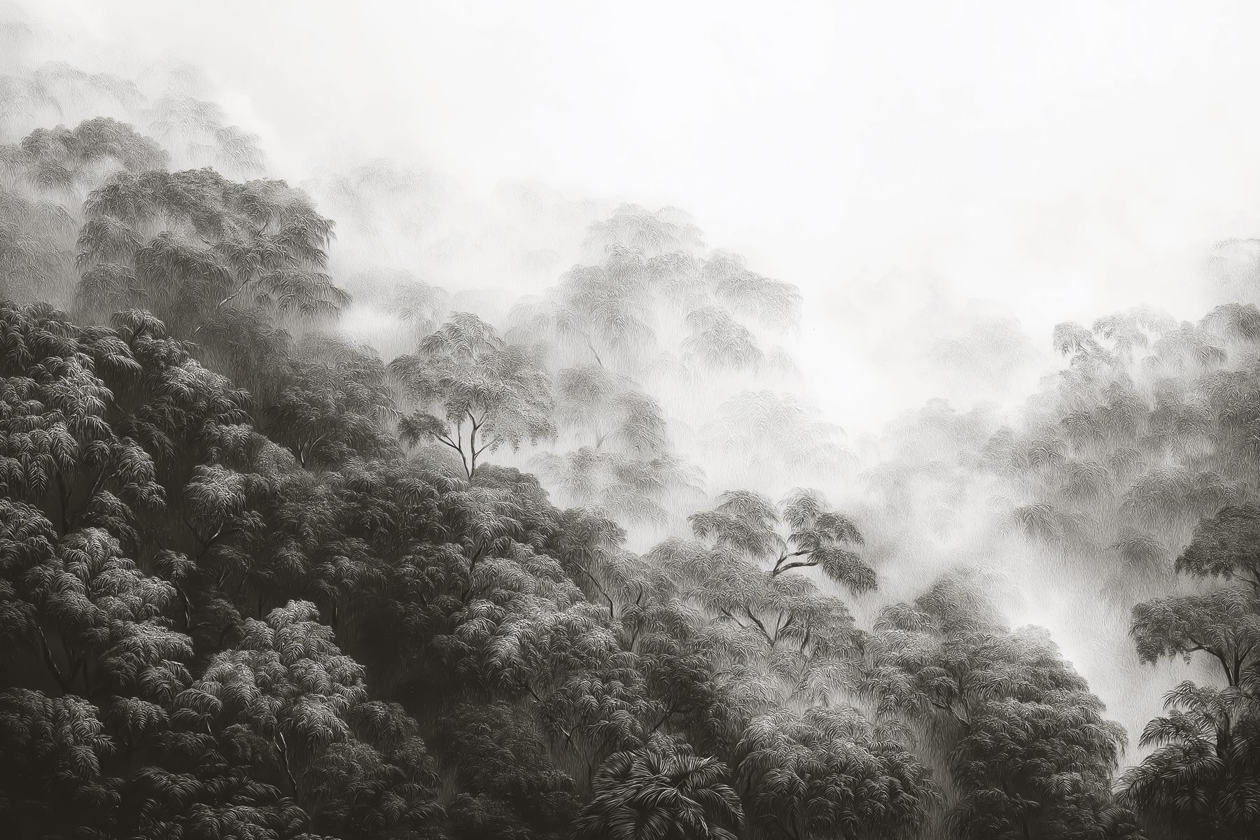 Foggy forest with trees Foggy forest with trees