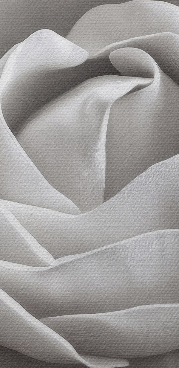 Delicate beauty in soft petals