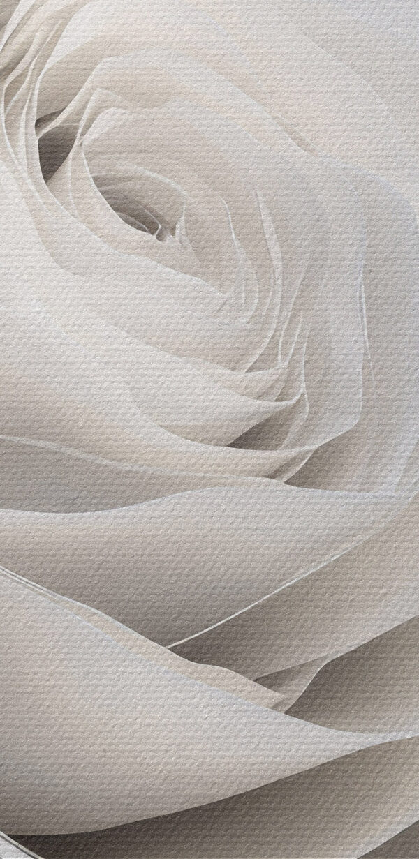 Delicate petals in soft harmony